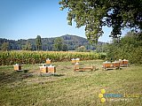 Herbst/Winter 2020/21