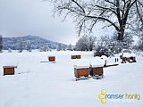 Herbst/Winter 2020/21