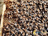 Fr&uuml;hling 2021