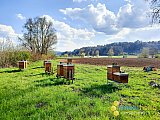 Fr&uuml;hling 2021