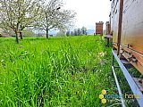Fr&uuml;hling 2021