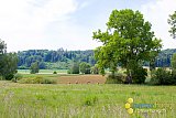 Fr&uuml;hling 2020 