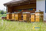 Fr&uuml;hling 2020 