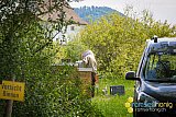Fr&uuml;hling 2020 