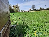 Fr&uuml;hling 2023