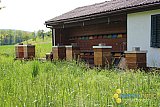 Fr&uuml;hling 2023
